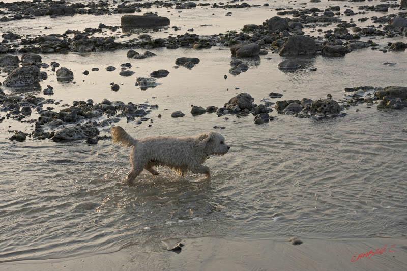 Cjp_2010_04_14_173715 (2).jpg